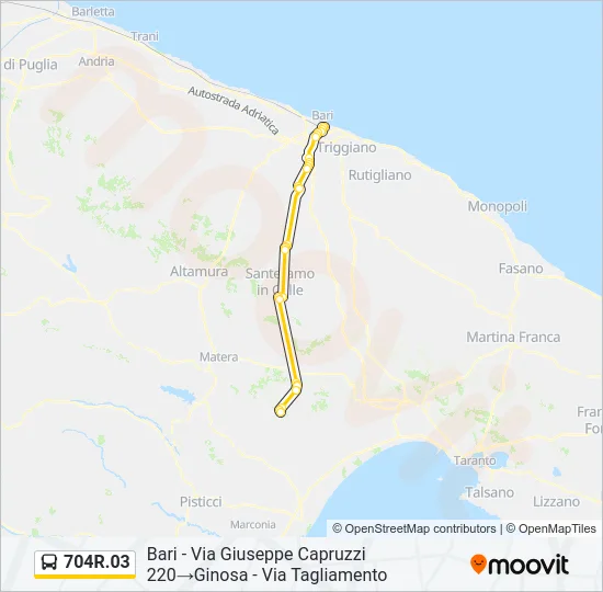704R.03 Bus Line Map