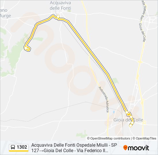 1302 bus Line Map