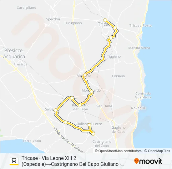 21310 - 1 Bus Line Map