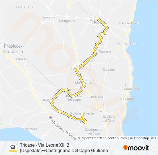 21310 - 1 bus Line Map