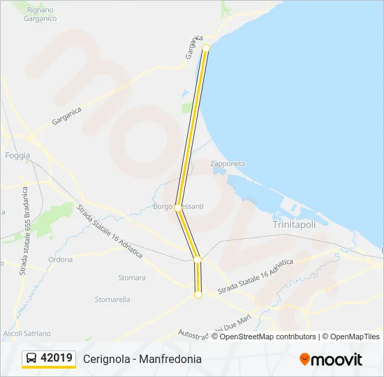 42019 Bus Line Map