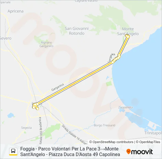 741.2D.OORR Bus Line Map
