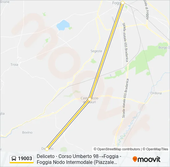 19003 Bus Line Map