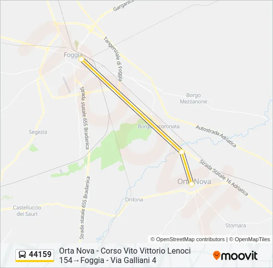 44159 Bus Line Map
