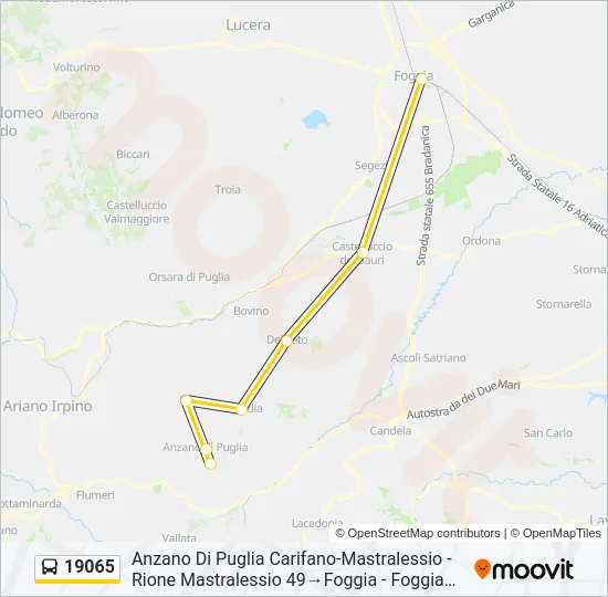 19065 Bus Line Map