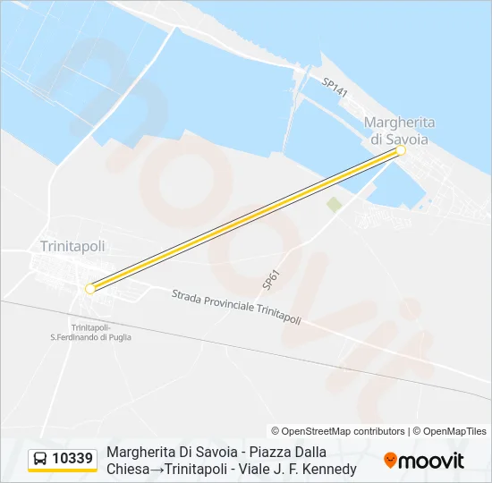 10339 Bus Line Map