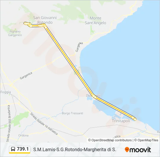 739.1 Bus Line Map