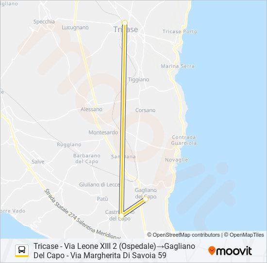 21316 - 2 bus Line Map