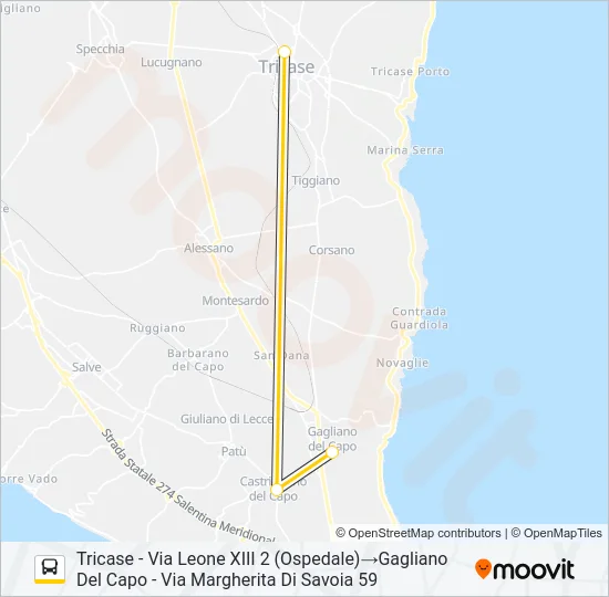 21316 - 2 Bus Line Map