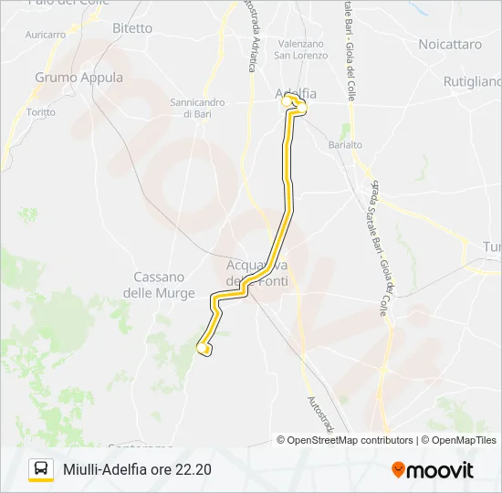 704R.AM.08 Bus Line Map