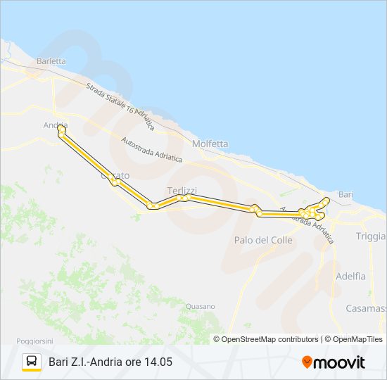 1003R.02 Bus Line Map