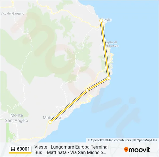 60001 Bus Line Map