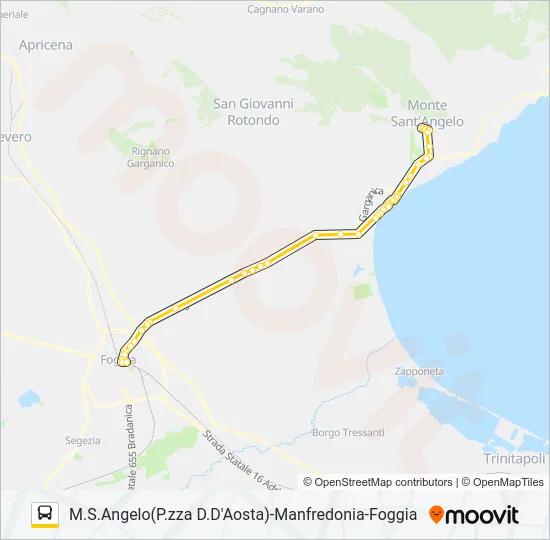 741R1.1D Bus Line Map