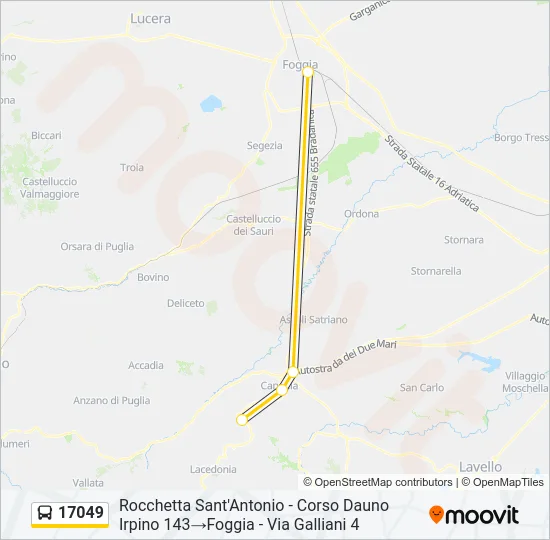 17049 Bus Line Map