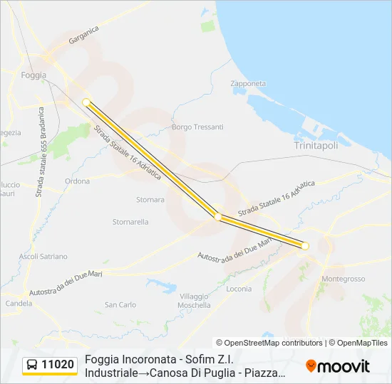 11020 Bus Line Map