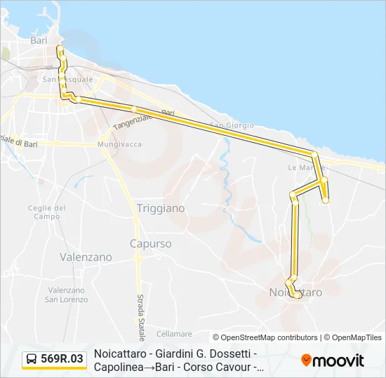 569R.03 Bus Line Map