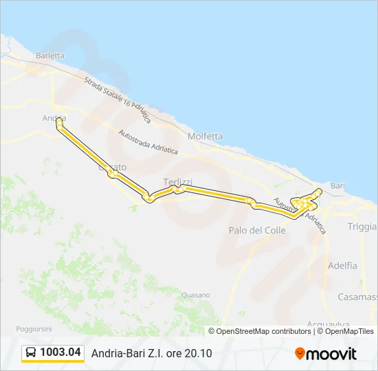 1003.04 Bus Line Map