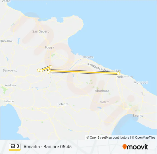3 Bus Line Map