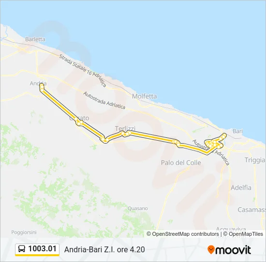 1003.01 Bus Line Map
