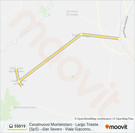 55019 Bus Line Map