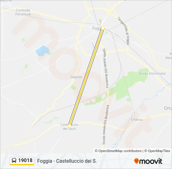 19018 Bus Line Map
