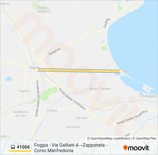 41006 Bus Line Map