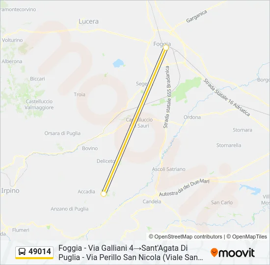 49014 Bus Line Map