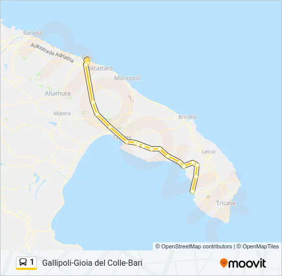1 Bus Line Map
