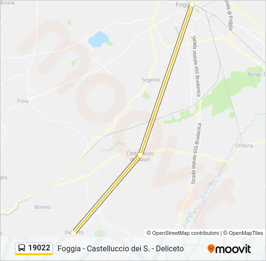 19022 Bus Line Map