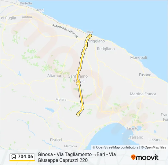 704.06 Bus Line Map