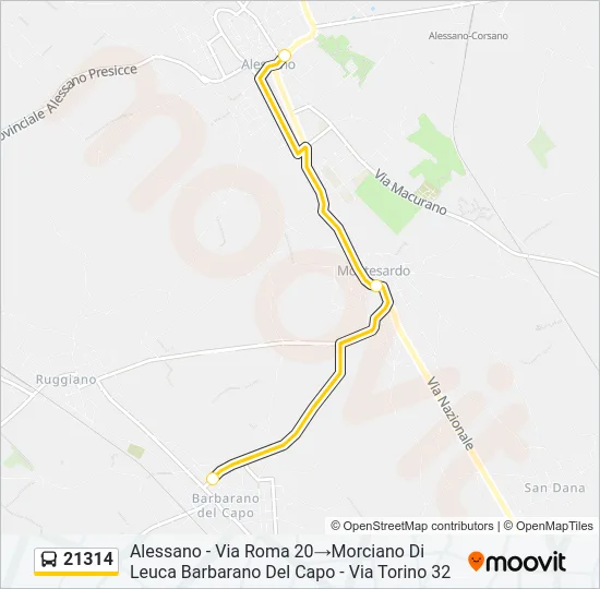 21314 Bus Line Map