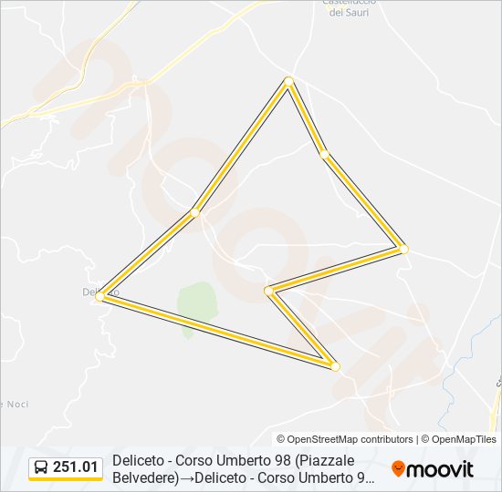 Percorso linea bus 251.01