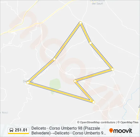 251.01 Bus Line Map