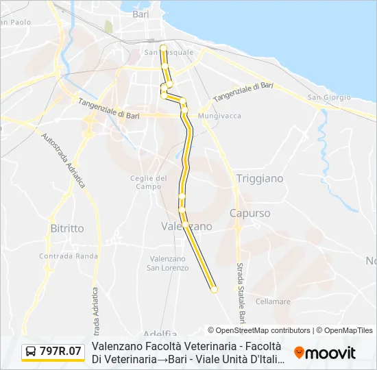 797R.07 Bus Line Map