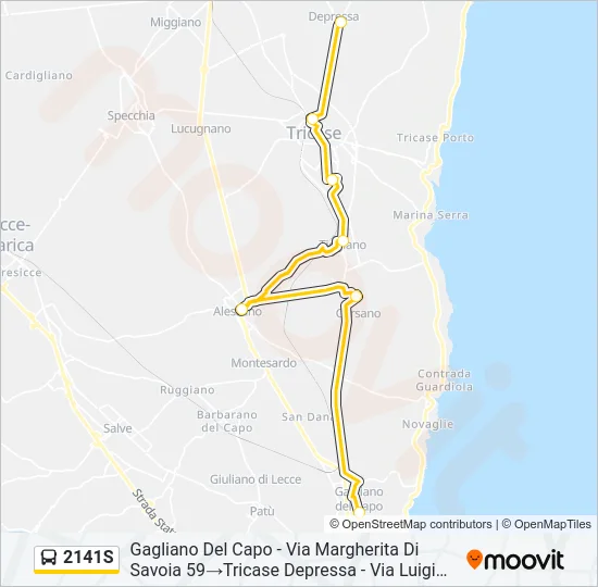2141S Bus Line Map