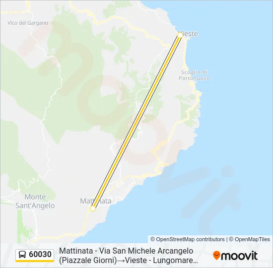 60030 Bus Line Map