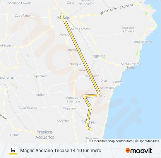 388 R TAM 14.10 bus Line Map