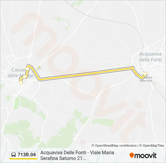 713R.04 Bus Line Map