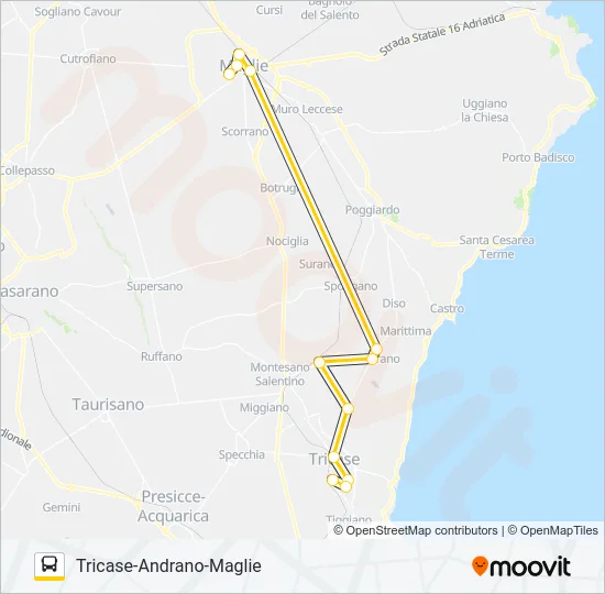 388 A TAM Bus Line Map