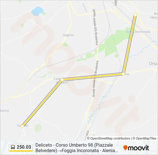 250.03 Bus Line Map