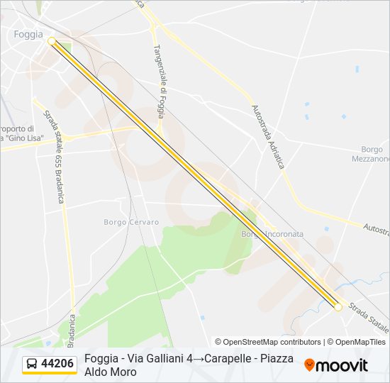 44206 Bus Line Map