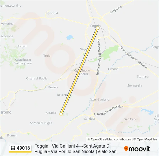 49016 Bus Line Map