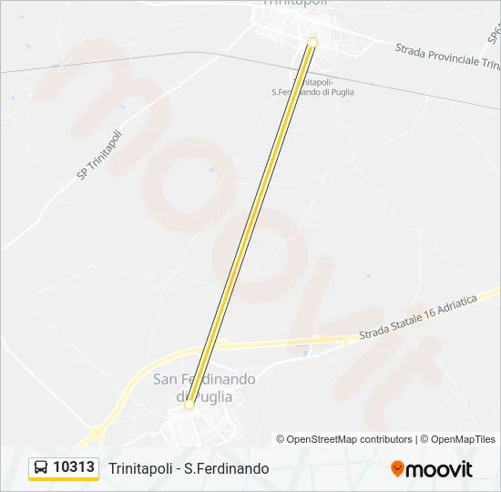 10313 Bus Line Map