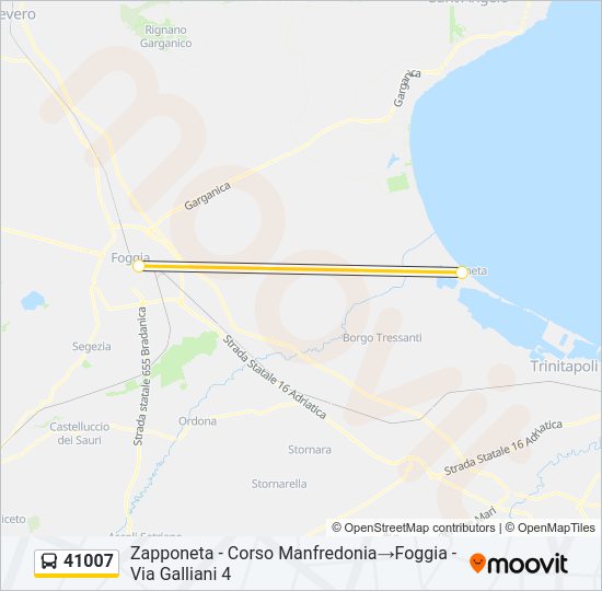 41007 Bus Line Map