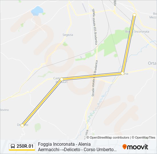 250R.01 bus Line Map