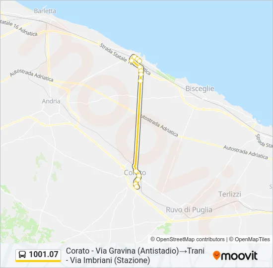 1001.07 Bus Line Map