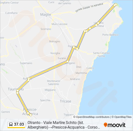 37.03 bus Line Map