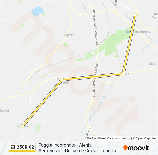 250R.02 Bus Line Map