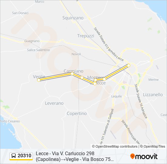 20310 bus Line Map