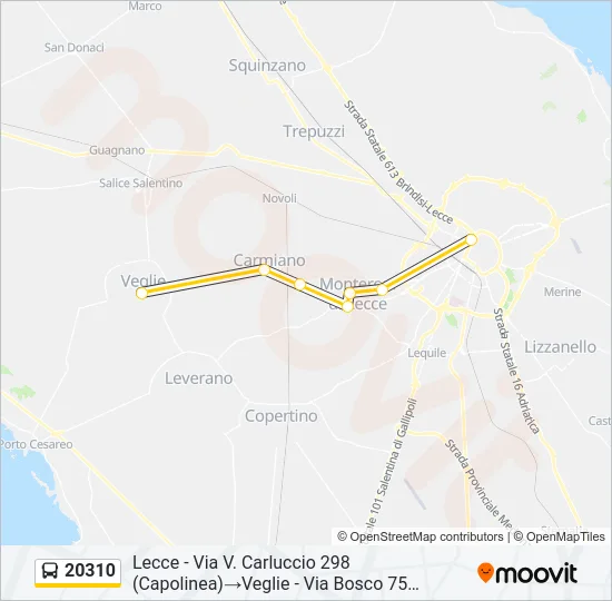 20310 Bus Line Map